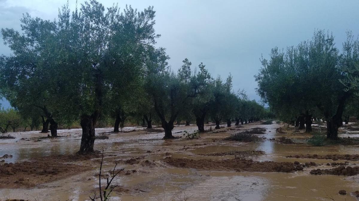 Las lluvias se concentran en zonas ya afectadas por la DANA de 2019 en algunos casos.