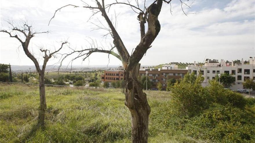 Urbanismo acabará las obras de la ronda Norte y de Mirabueno