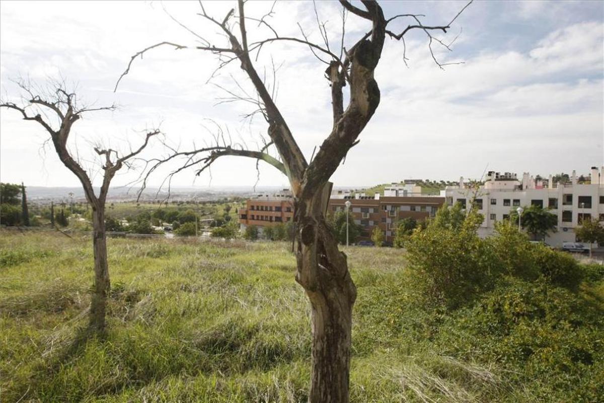 Urbanismo acabará las obras de la ronda Norte y de Mirabueno