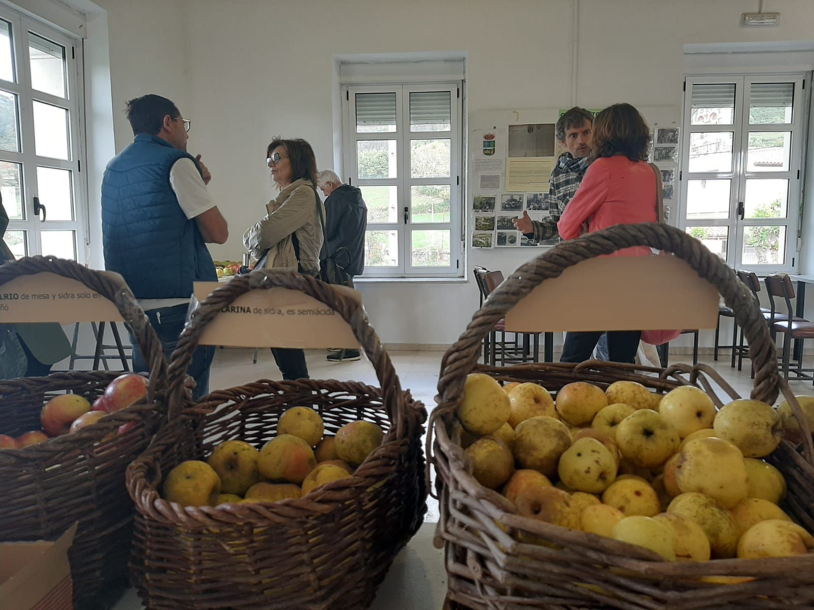 Muñó, capital de la manzana de Siero: así ha sido la exposición de variedades organizada por los vecinos