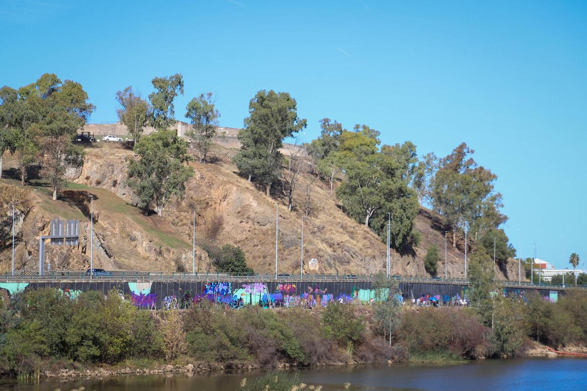 Vista general de la zona donde trabajan los artistas desde el puente de la Autonomía.
