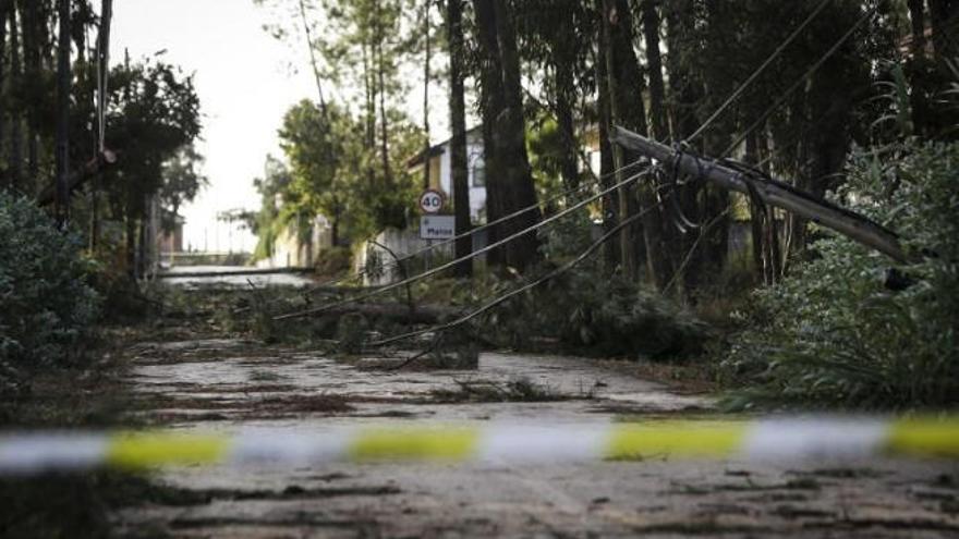 Un cable de la luz tendido en el suelo, tras el paso de Leslie en Portugal.