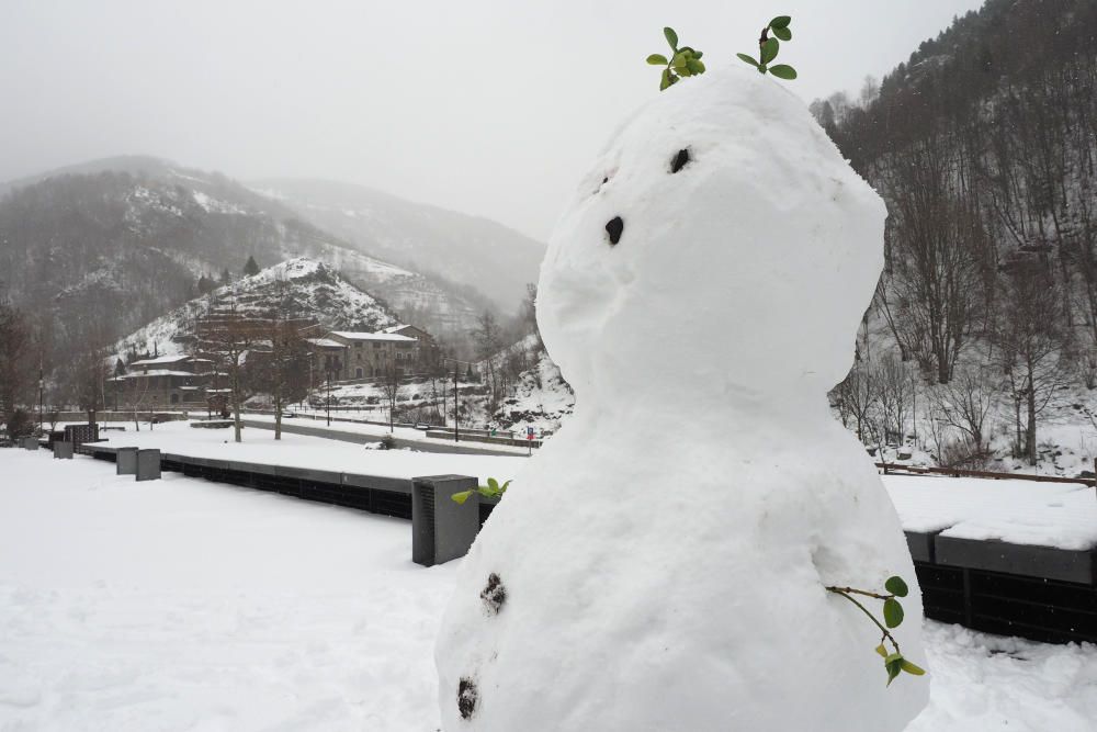 Neu a la Cerdanya i el Ripollès