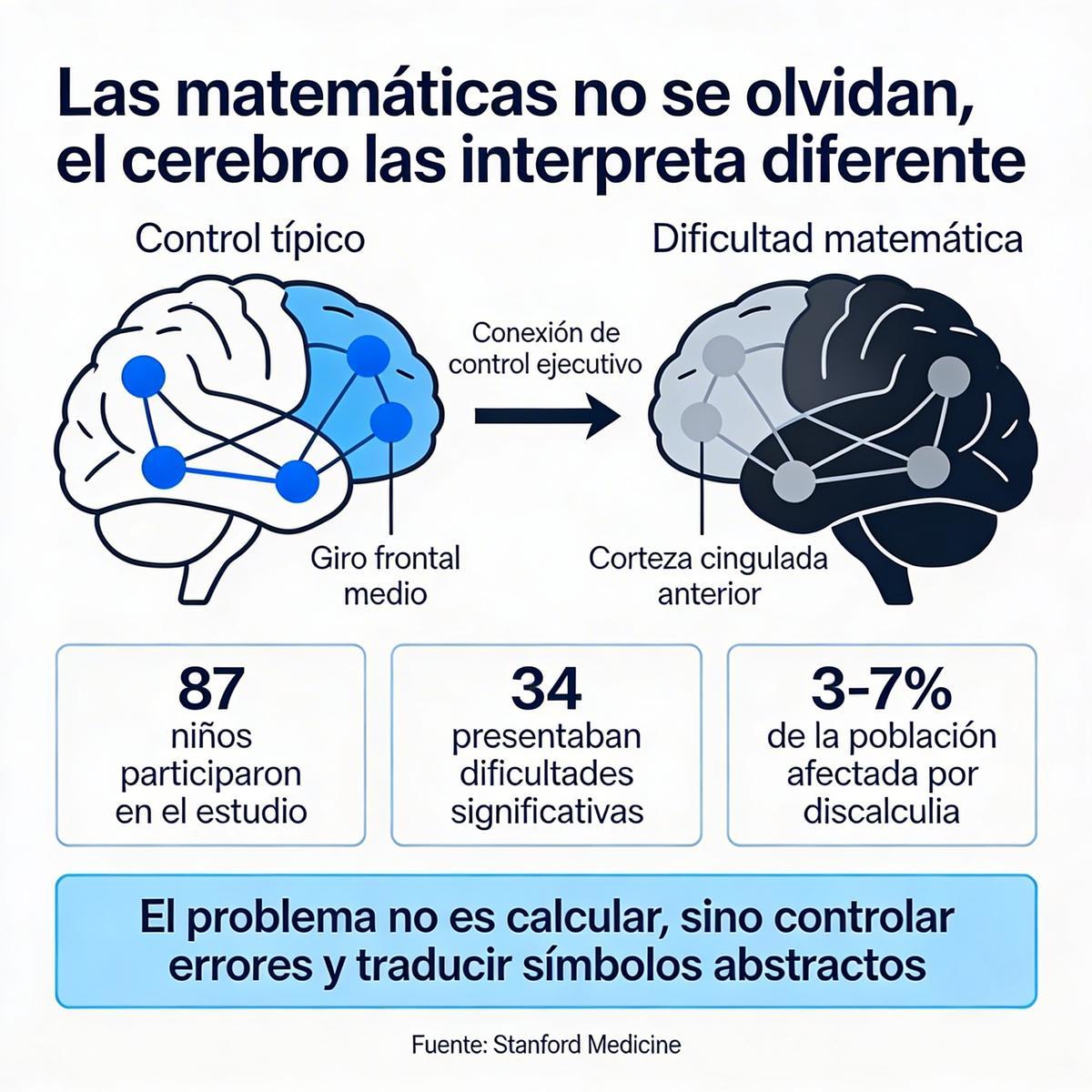 Esquema cerebral infantil cuando estudia matemáticas.
