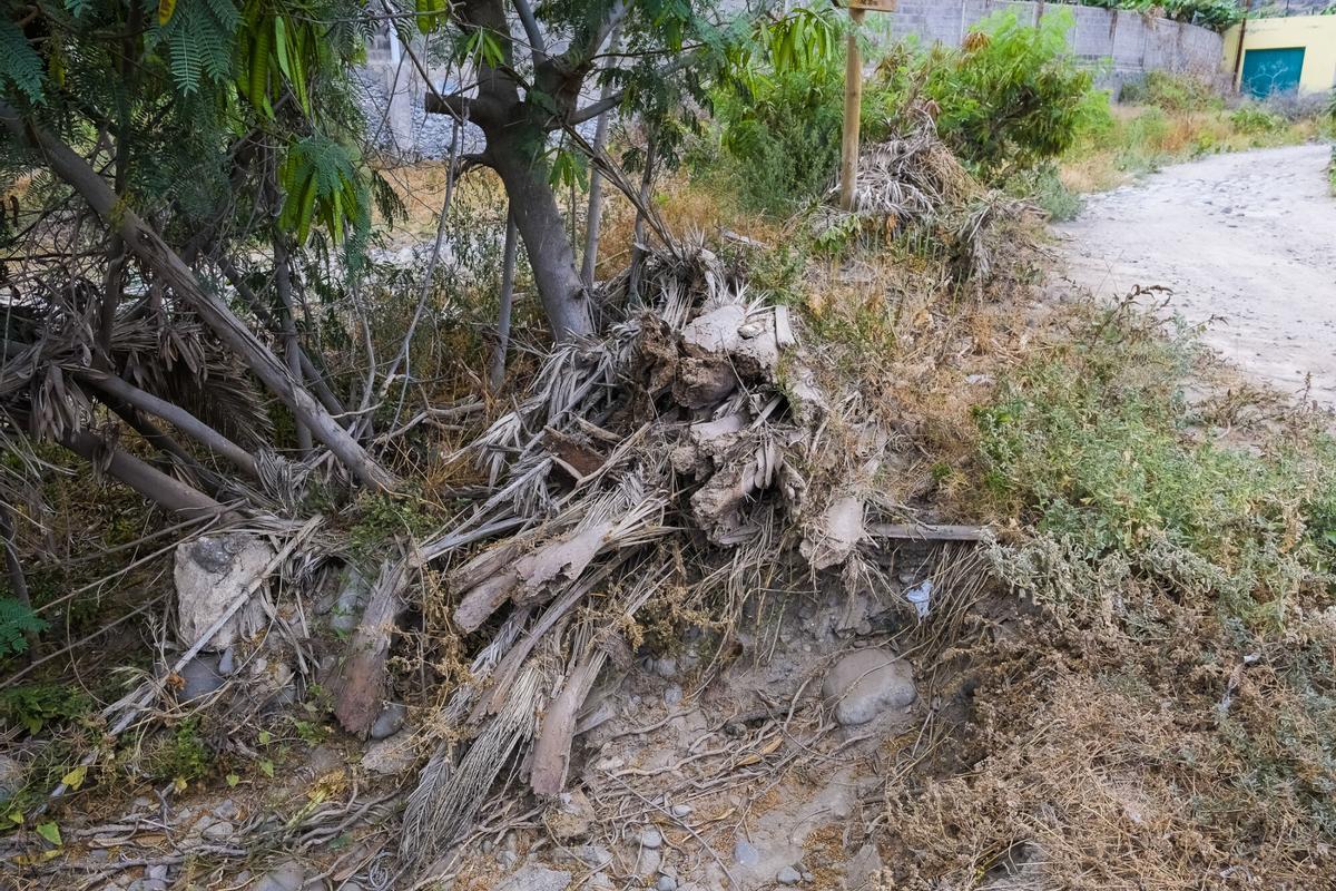 Destrozos de la borrasca Therese en el Guiniguada, cuatro meses después
