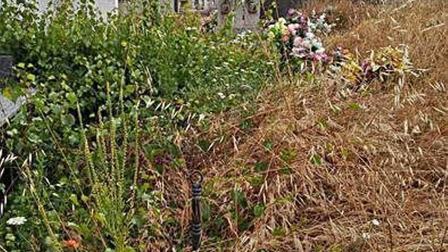 Estado que presentaba el cementerio antes de su limpieza. F. A.