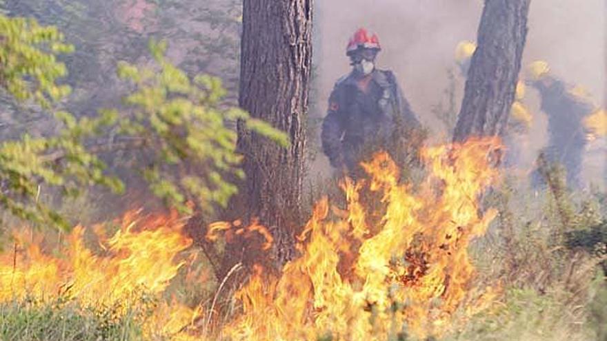 El foc de finals de juliol a Vilopriu ha estat el que més superfície ha cremat des de principis d&#039;any.