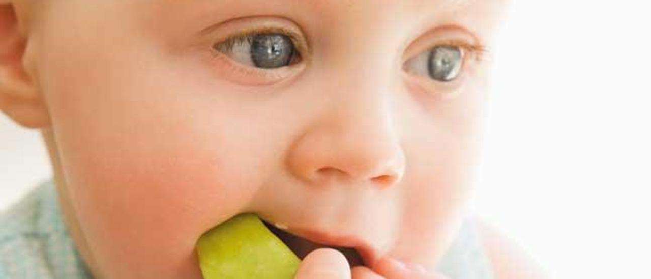 Baby-Led weaning, bebés sin dientes que comen sólido