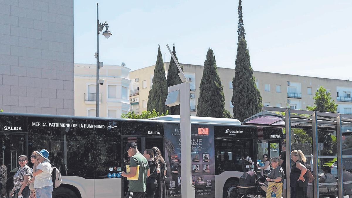 El autobús urbano de Mérida, a examen: "Es gratis y está muy bien, pero debería ser más eficiente"