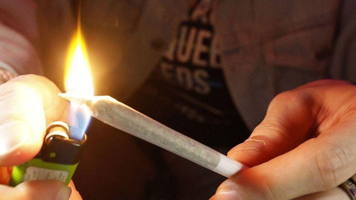 El consumo de cannabis va en descenso entre los jóvenes.