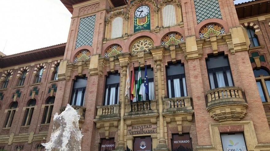 Estas son las notas de corte para los grados de la Universidad de Córdoba 2025-2026