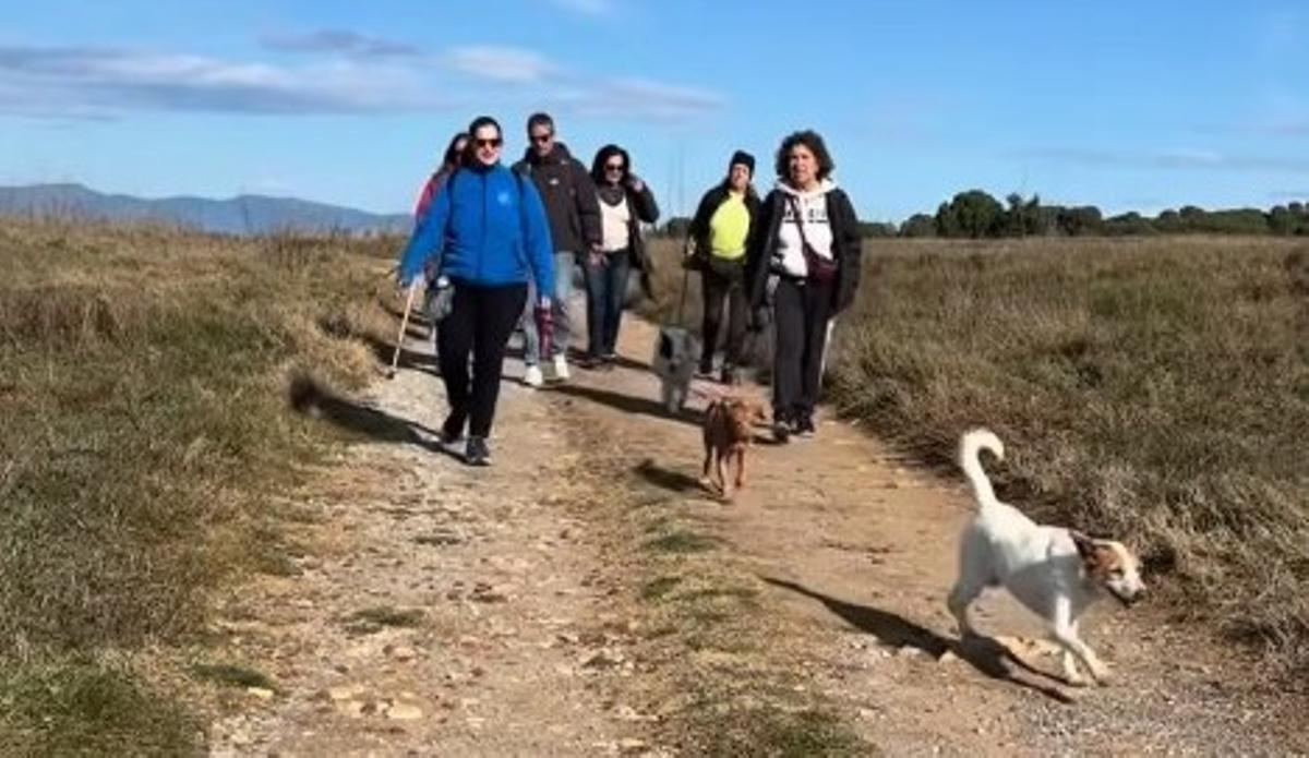 Una passejada solidària orgnanitzada per l'Anxova Peluda.