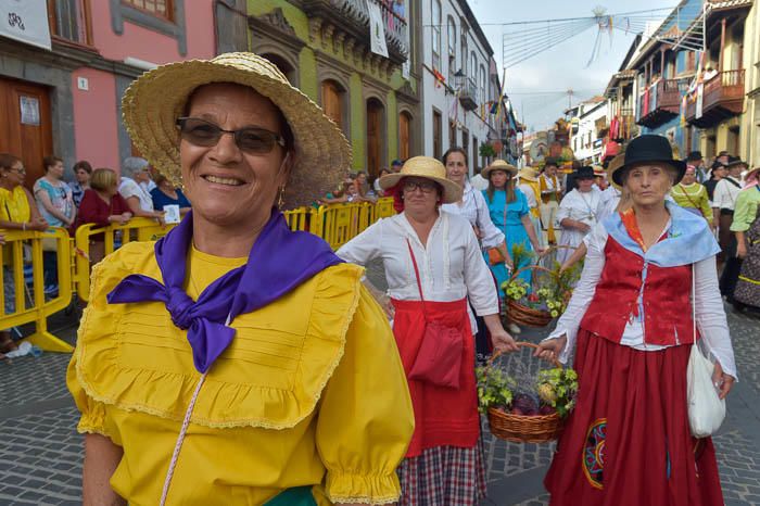 Carretas y grupos en la romería del Pino