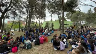 Figueres recupera la Festa de l'Arbre amb mig miler d'alumnes