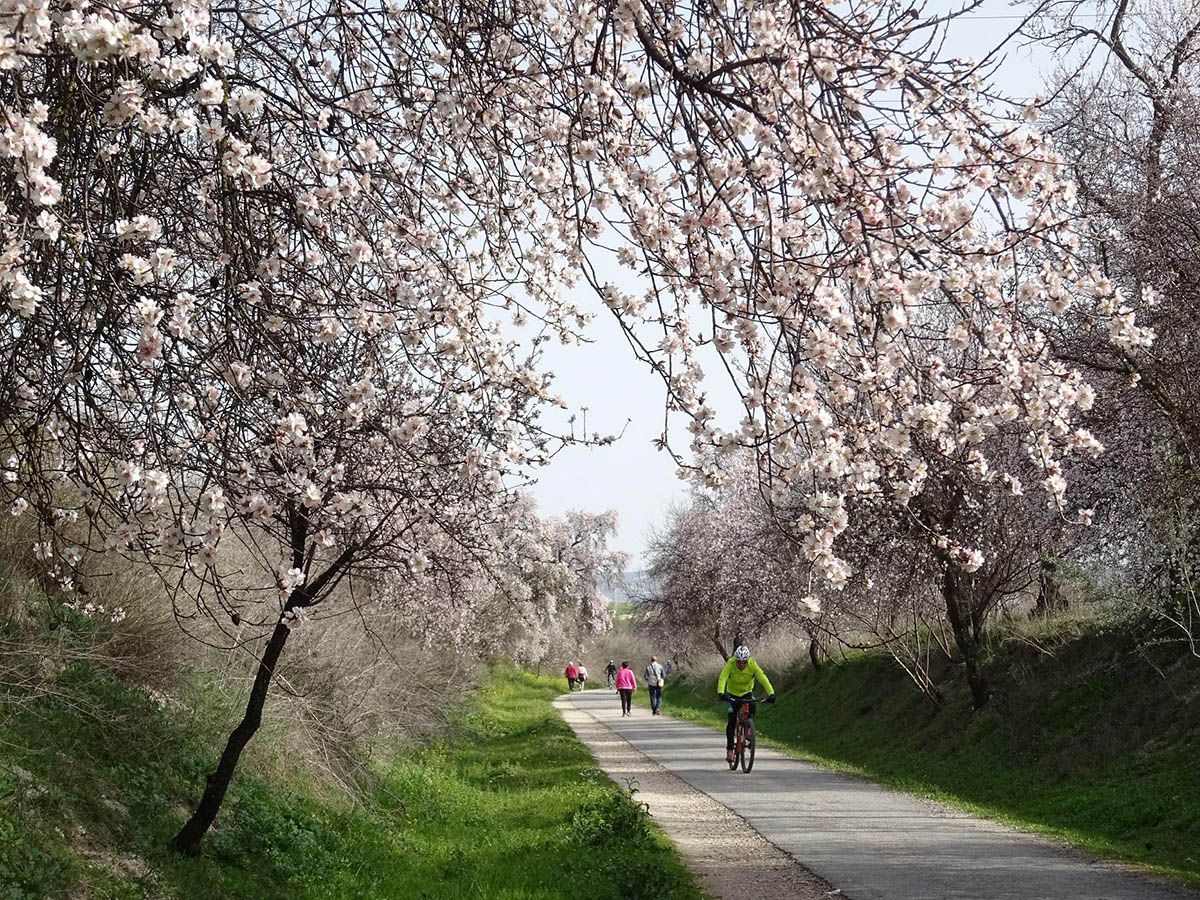 Primavera en la Subbética