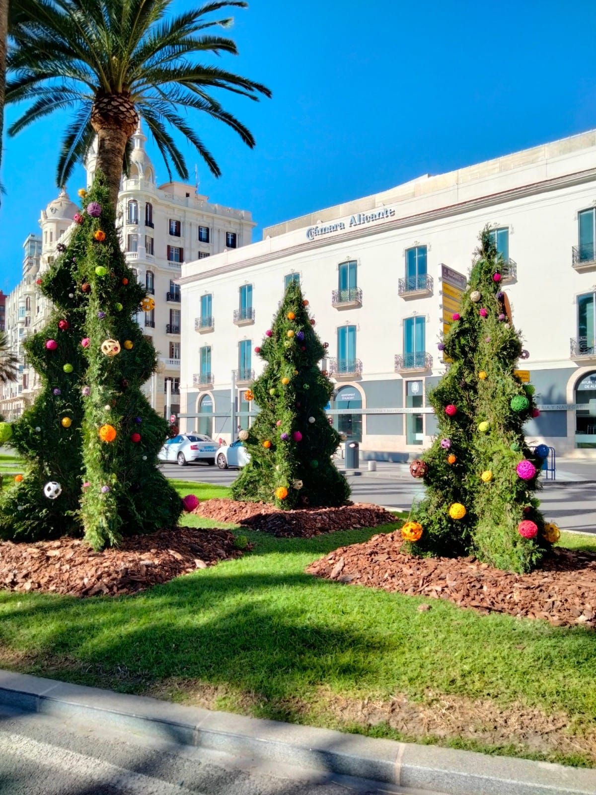 Decoración navideña vegetal con árboles de Navidad