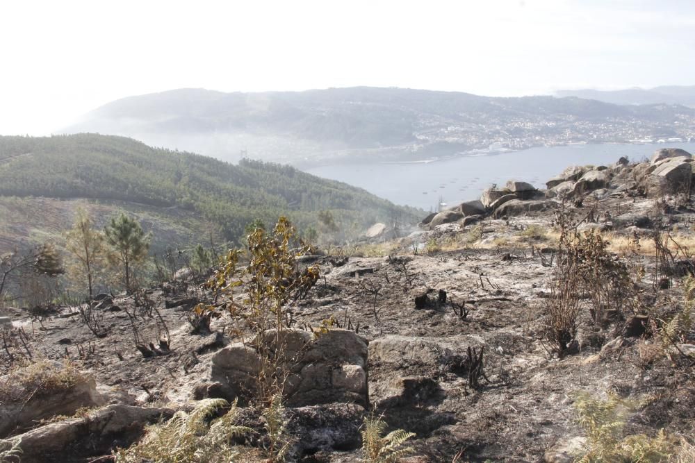 Incendios en Galicia | Un incendio nocturno quema 15 hectáreas en Domaio sobre el puente de Rande