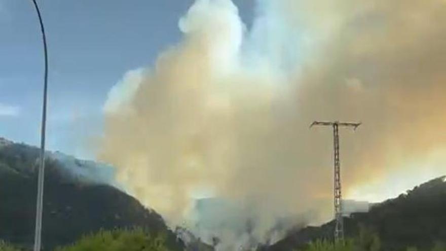 Declarado un incendio forestal en Tibi