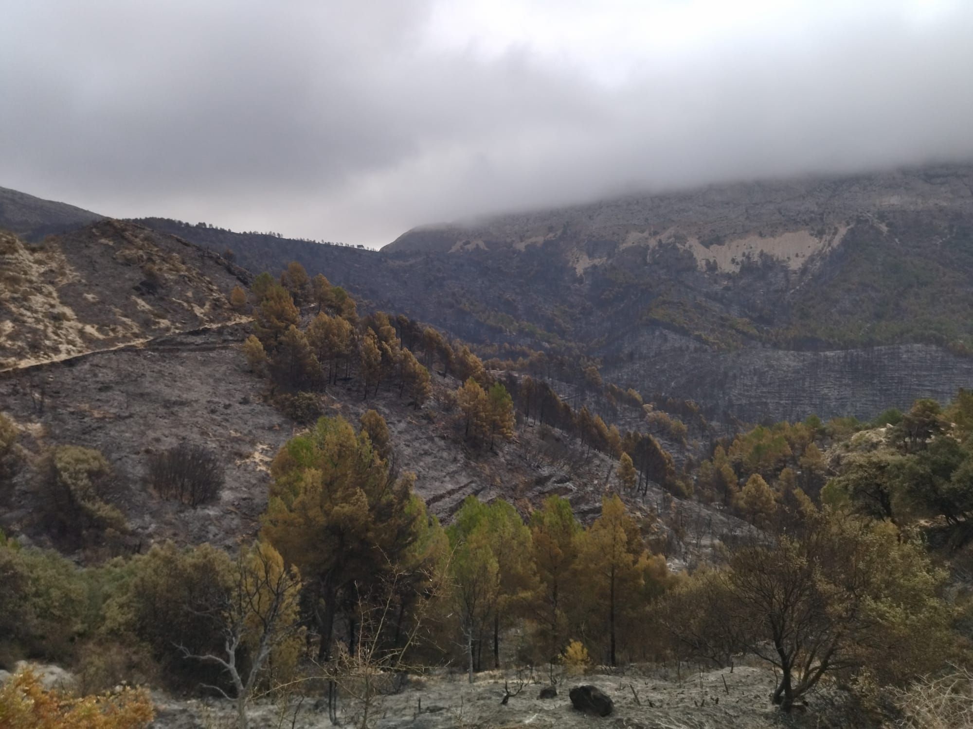 La destrucción del incendio de Tàrbena, en imágenes