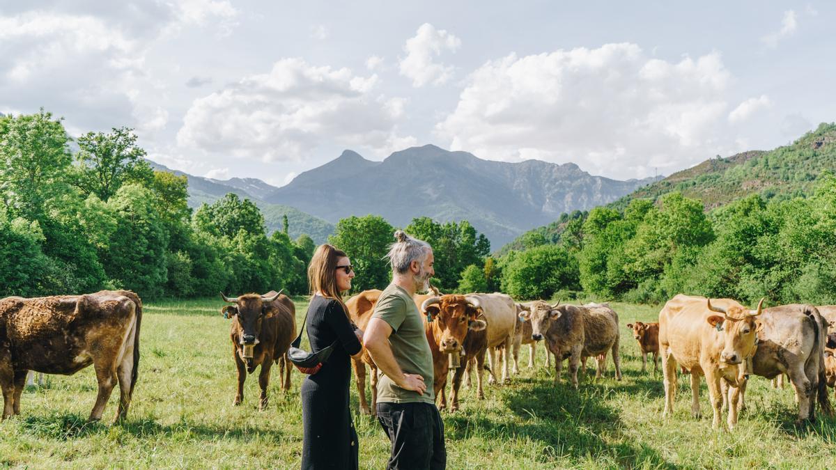 La ganadería Casa Chirón, en el Valle de Benasque, participa en el proyecto ‘Mincha d’Aquí’