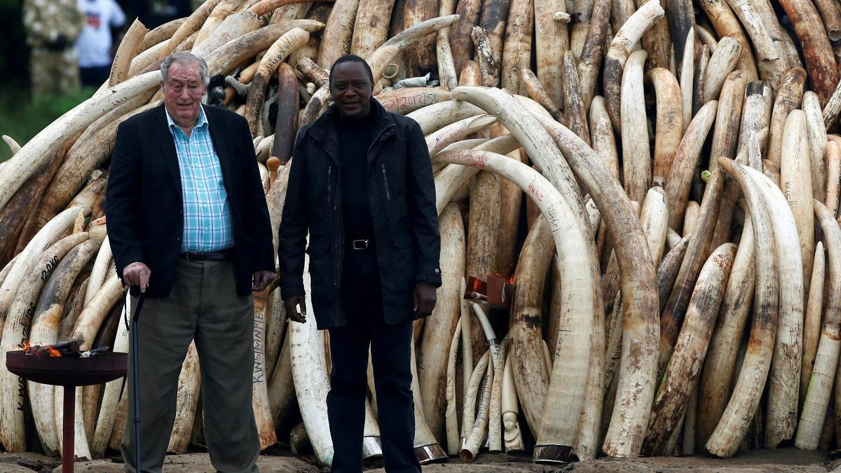 Richard Leakey, junto al presidente de Kenia, antes de incinerar toneladas de marfil incautado.