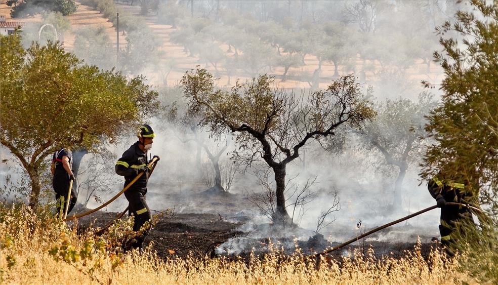 El incendio de ayer en Alcuéscar, en imágenes