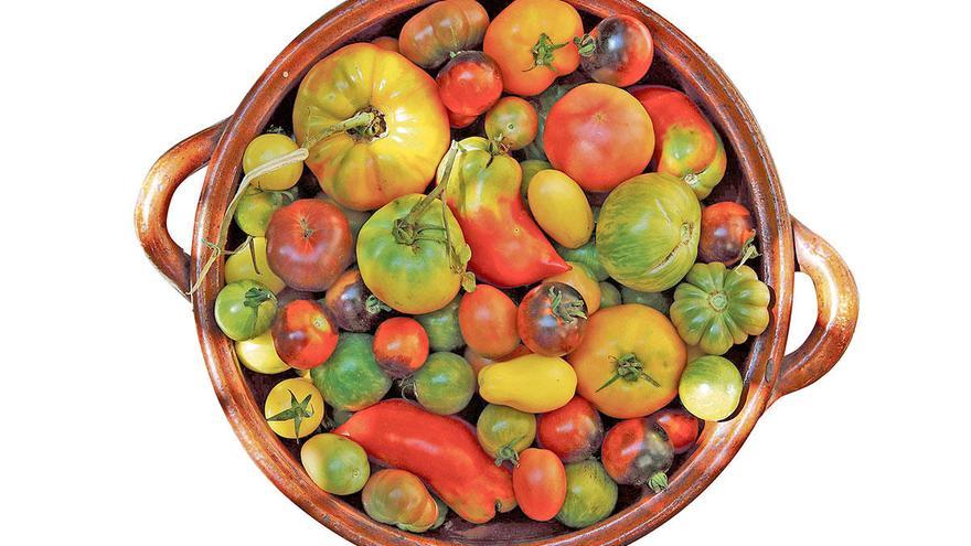 Mallorcas unglaubliche Tomaten-Vielfalt