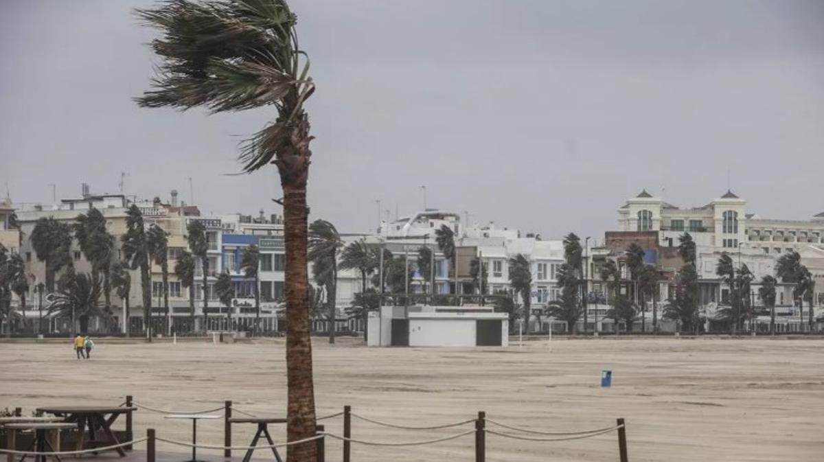 Imagen de archivo de un temporal de viento en València.