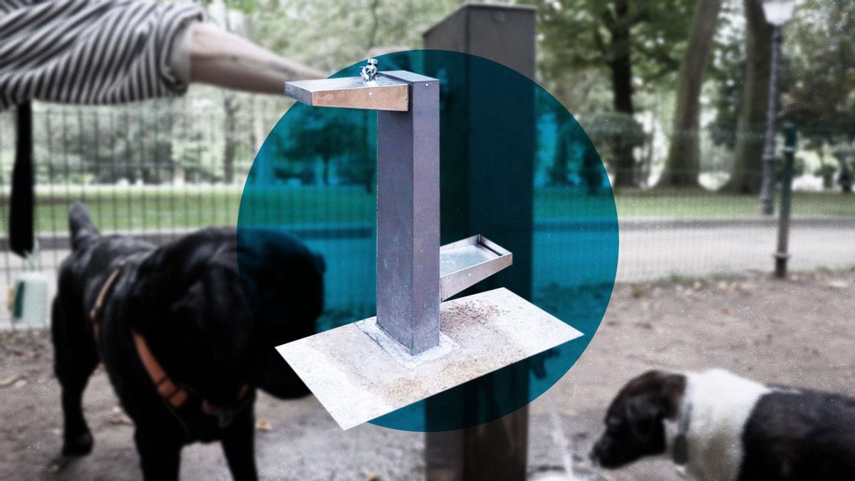 Oviedo lanza un plan para ampliar su red de fuentes para beber: en estos sitios se ubicarán las nuevas (y otras muchas serán reparadas)