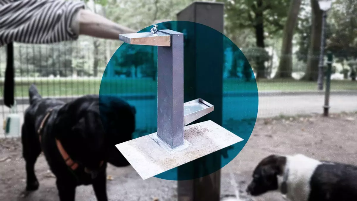 Oviedo lanza un plan para ampliar su red de fuentes para beber: en estos sitios se ubicarán las nuevas (y otras muchas serán reparadas)