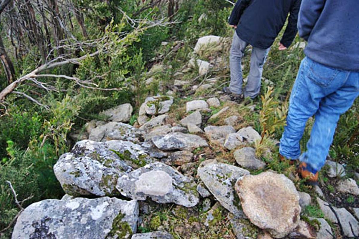 Ortofoto del recinto amurallado de Castro Valente, situado entre Padrón y A Estrada.