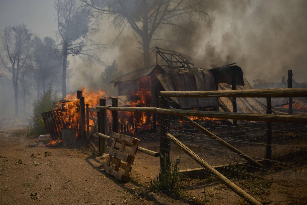 Crema sense control un incendi forestal a peu de les Gavarres a la Bisbal