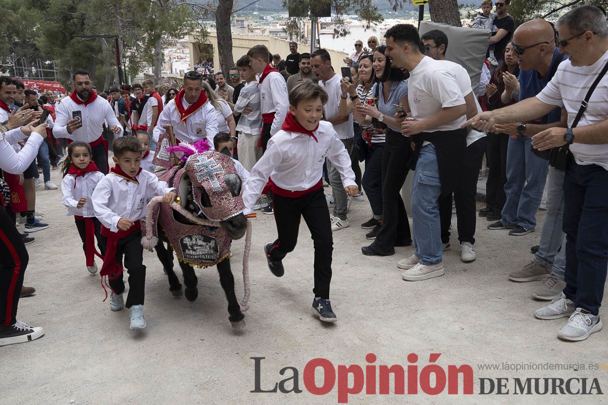 Fiestas de Caravaca | Desfile infantil del Bando de los Caballos del Vino