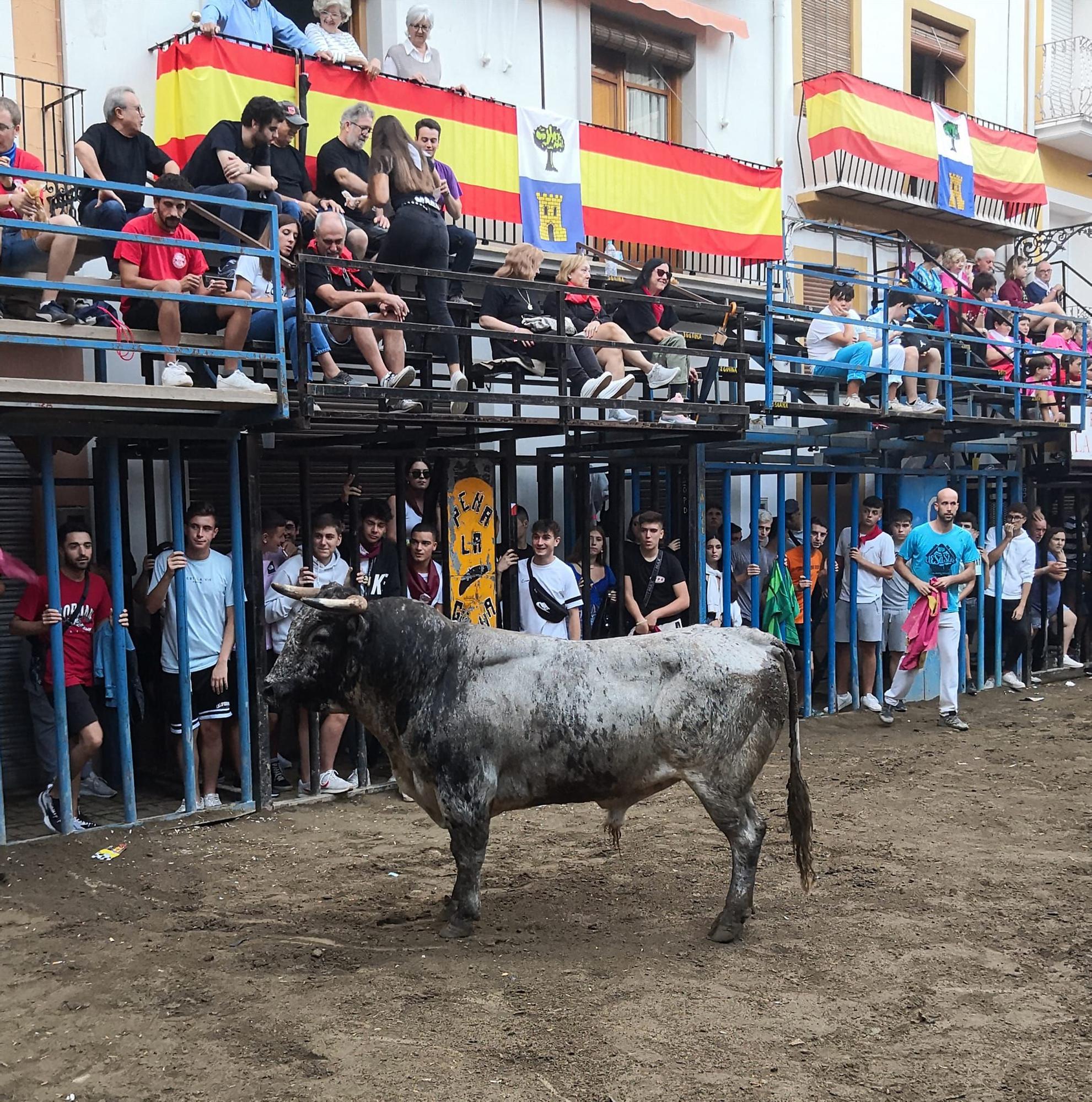 Navajas despide su semana taurina