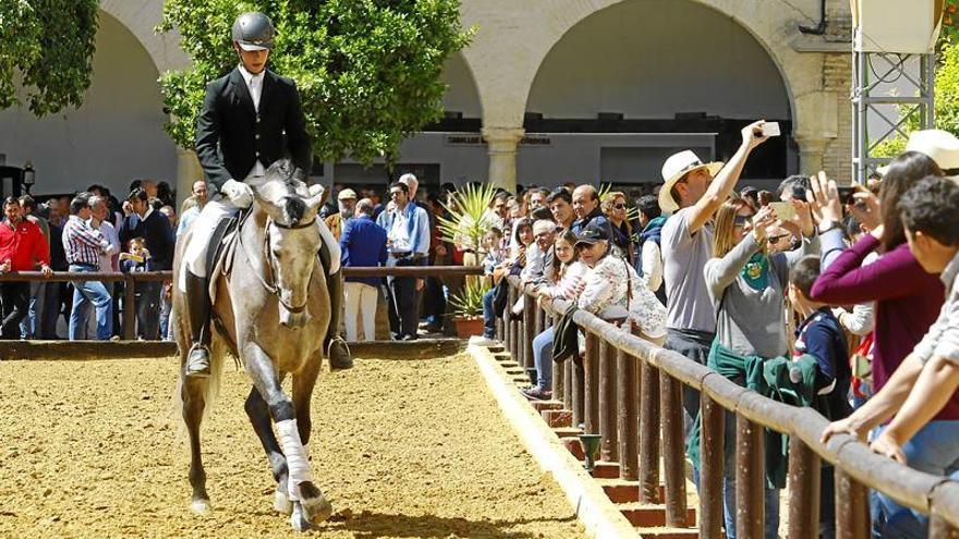 Defensa advierte que la venta de Caballerizas depende de lo que dé el Ayuntamiento