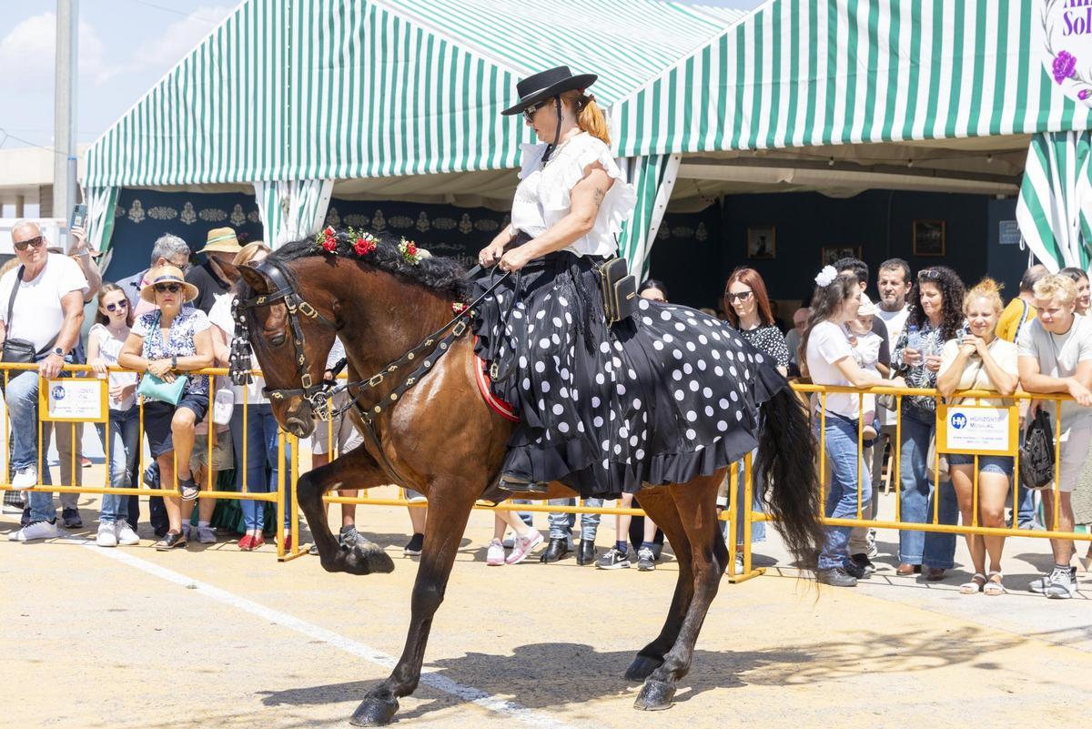 Desfile de carrozas y caballistas de la Feria de Mayo 2026 de Torrevieja este domingo