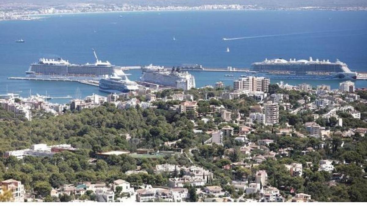 Kreuzfahrtschiffe im Hafen von Palma