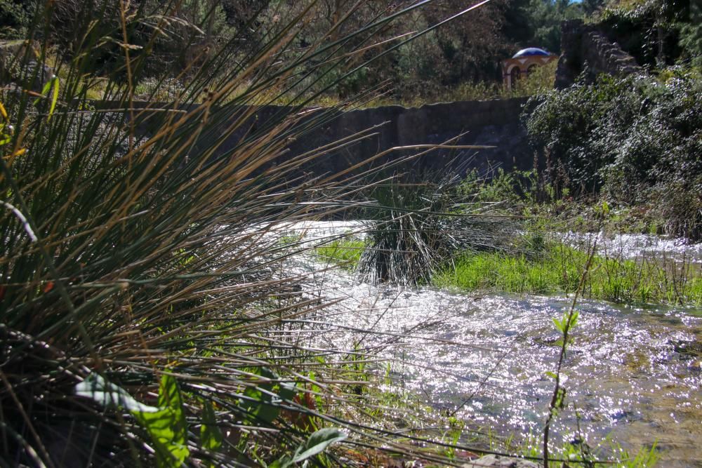 Conoce las cascadas, ríos y pozas de Alicante, los lugares donde el agua siempre fluye