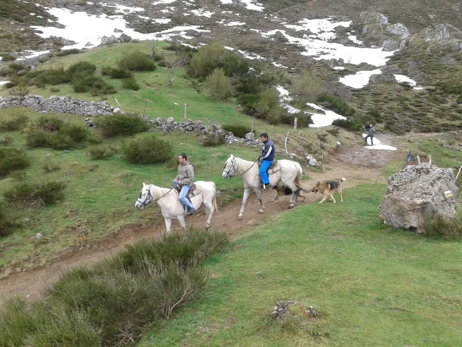 Turismo de invierno en Asturias