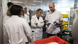 Catalunya arranca una maratón para superar las 10.000 donaciones de sangre en 10 días