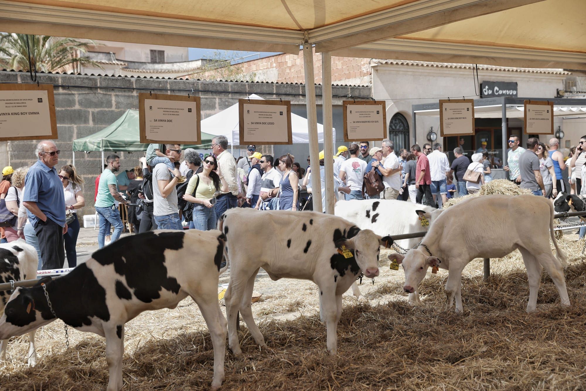 FOTOS | Las ferias de este domingo en distintos pueblos de Mallorca, en imágenes