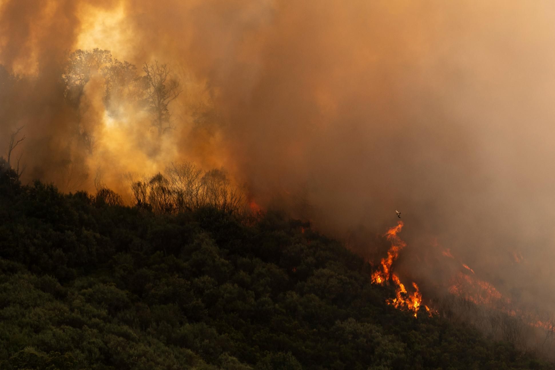 Los incendios sacuden Galicia