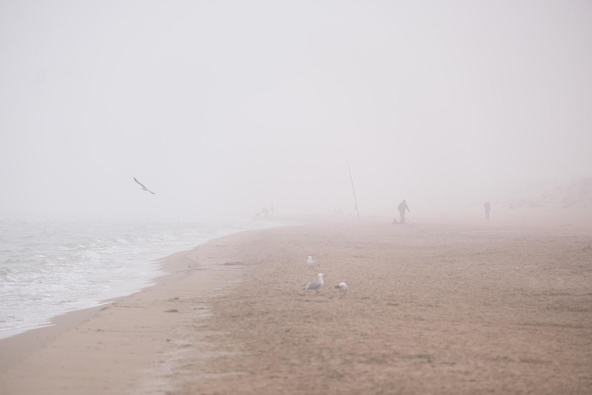 Un espeso banco de niebla engulle la playa de La Marina y El Pinet