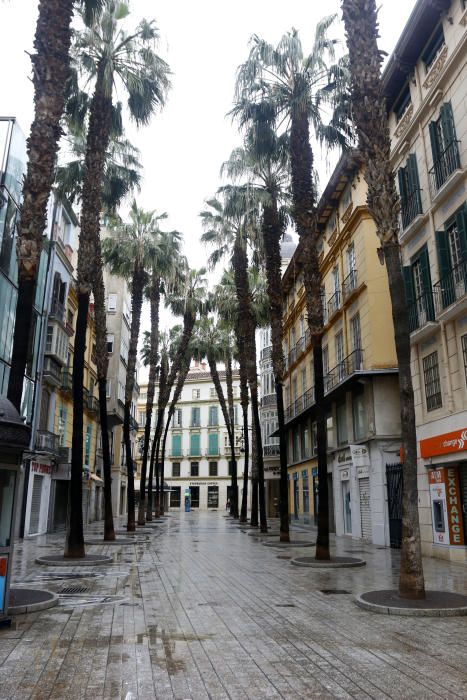 Pasan los días de confinamiento y la situación de la ciudad sigue siendo desértica. La siempre frecuentada calle Larios, la Alameda, principal vía de tráfico tanto privado como público del centro de la ciudad, y el bullicioso mercado de Atarazanas presentan durante el estado de alarma provocado por la pandemia de coronavirus una imagen inusual, acentuada por la persistente lluvia de esta semana.