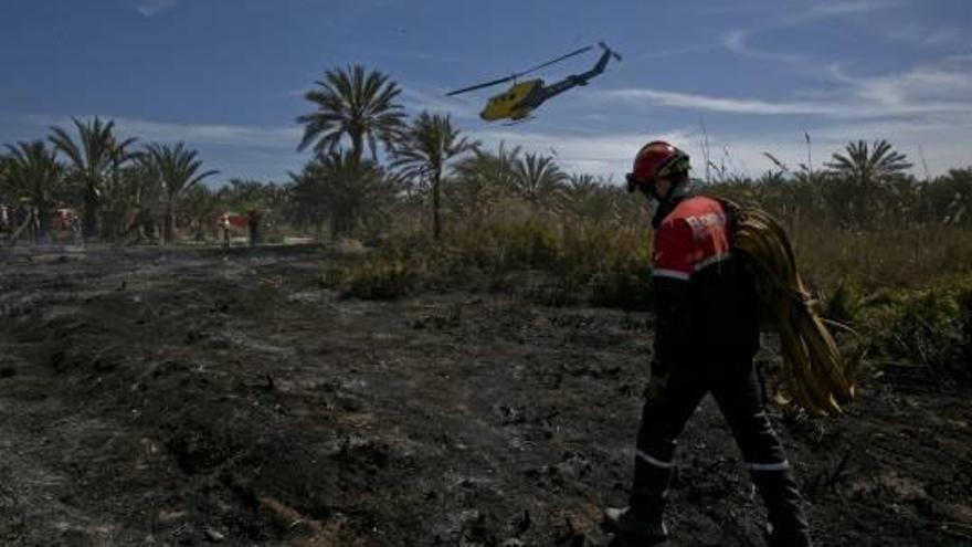 Un incendio de palmeras junto a El Hondo ocupa a medios aéreos y bomberos 5 horas