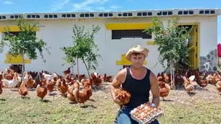 El trabajador de Ford en Valencia reconvertido en granjero que vende 146.000 huevos al año