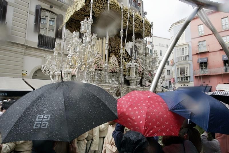 Domingo de Ramos de 2016 | Lágrimas y Favores