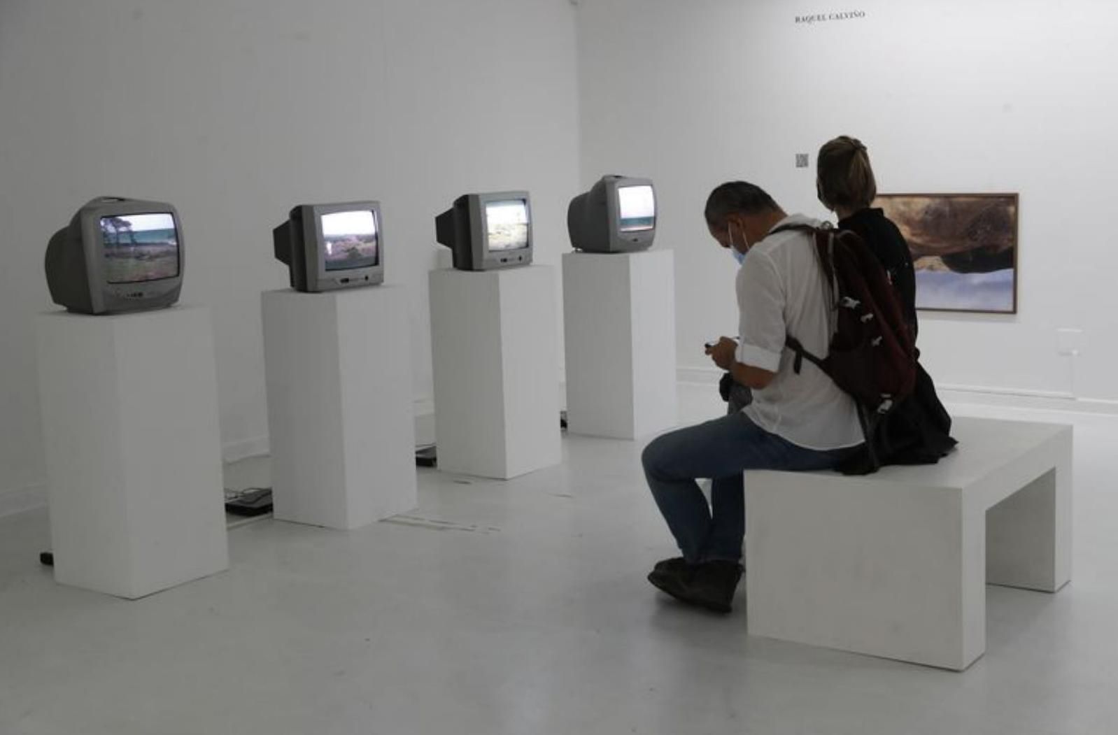 Mostras na Fundación Laxeiro e na Galería Montenegro (2013). | ALBA VILLAR  E  RICARDO GROBAS