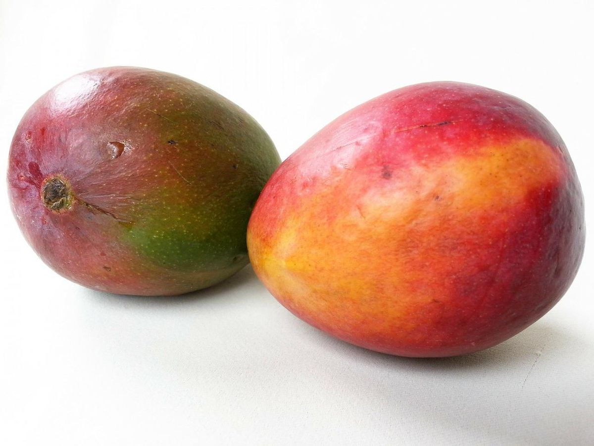 El mango es una fruta baja en calorías y rica en fibra ideal para adelgazar