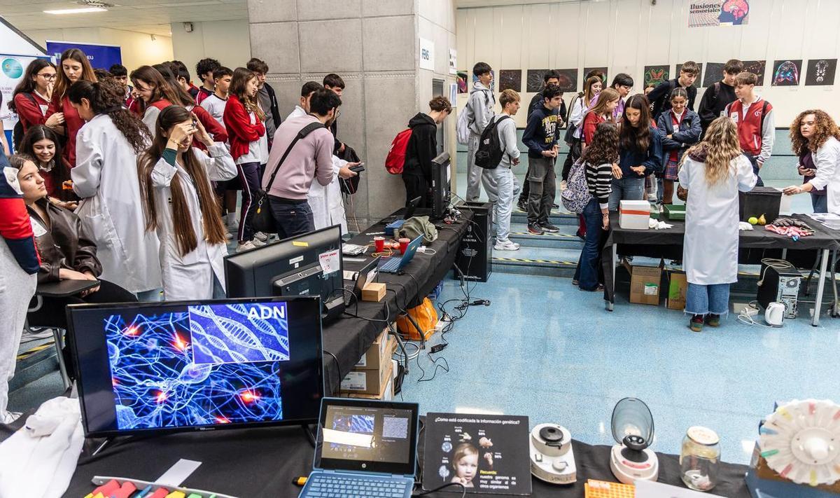 Talleres de estímulos cerebrales en el Instituto de Neurociencias